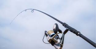Canne rigide ou flexible pour la pêche de fond?